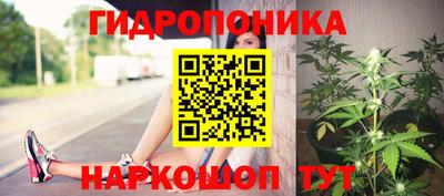 ECSTASY Заводоуковск