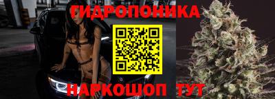 прущие грибы Жуковский