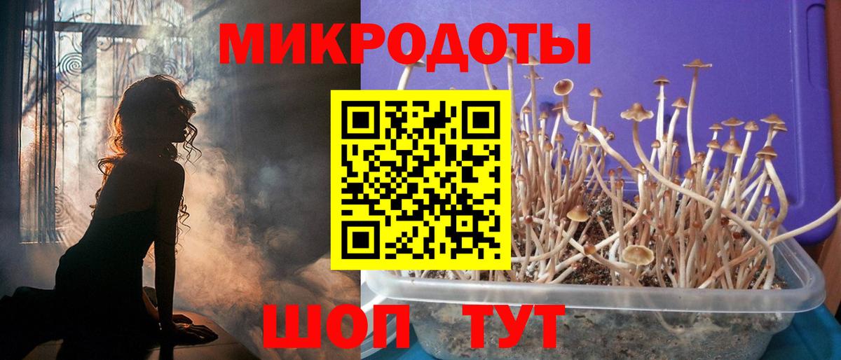 Волжский  Псилоцибиновые грибы MAGIC MUSHROOMS  Вход с VPN 