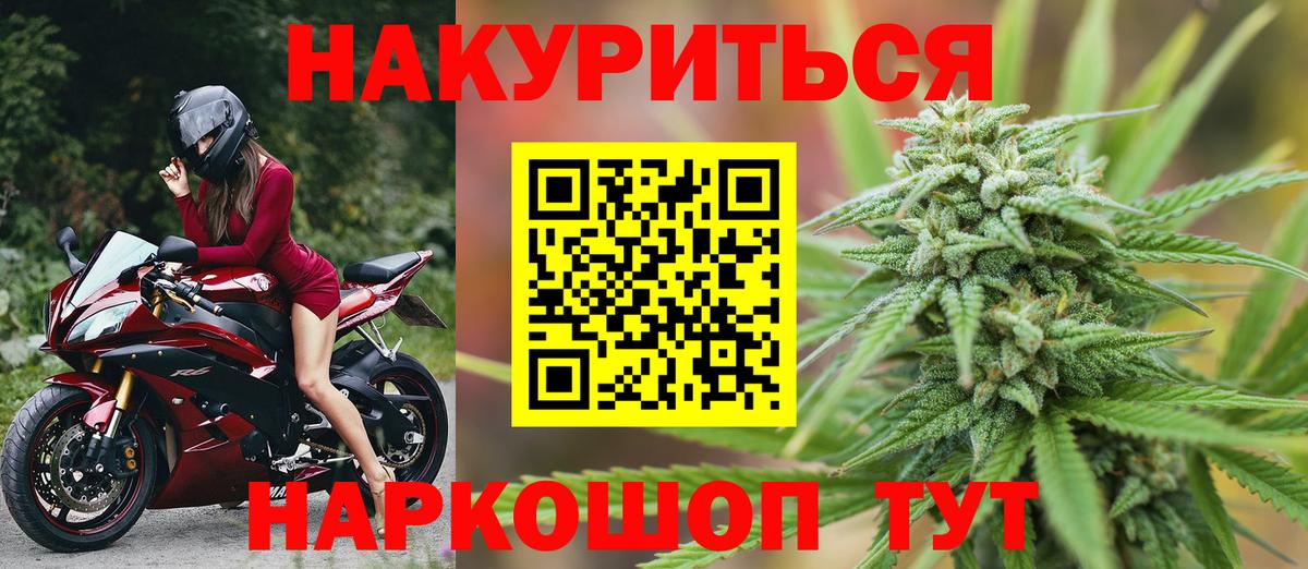 Конопля гибрид Волжский